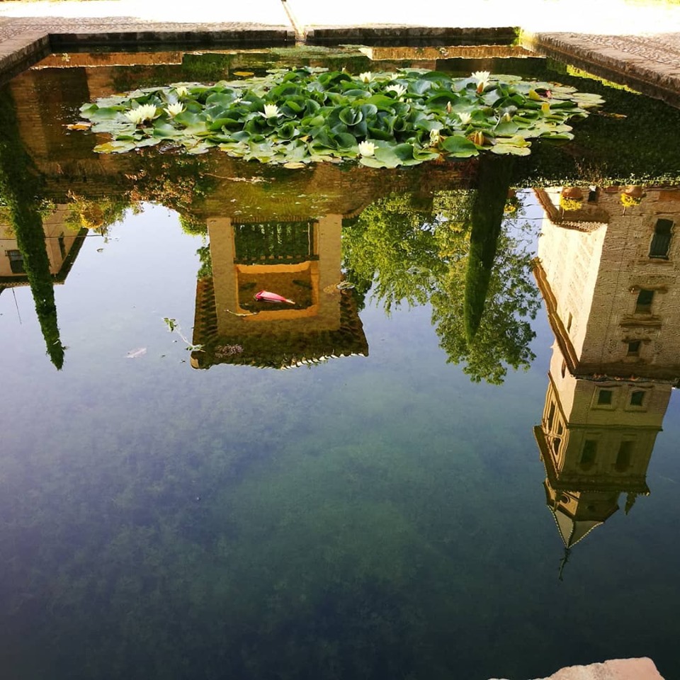 Lorenza Spolaore - I riflessi dell'Alhambra